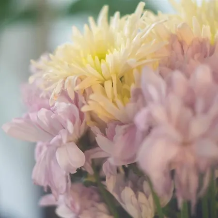 Modaloft Duplex By Rentez * 프라하