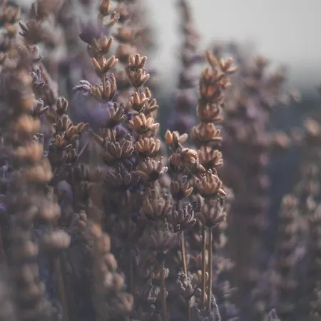 Modaloft Duplex By Rentez 아파트 프라하